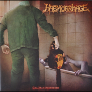 HAEMORRHAGE/ DEAD Split LP [VINYL 12"]